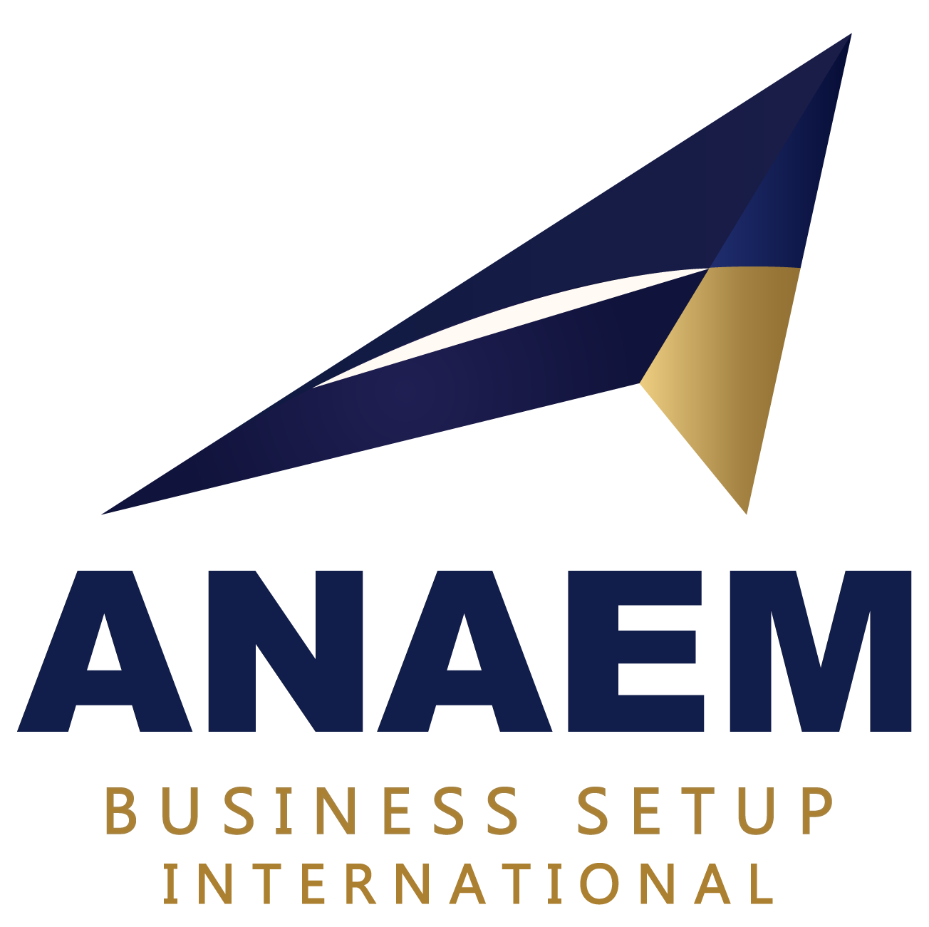 Anaem International